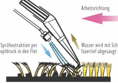 Teppichreinigung Ablauf